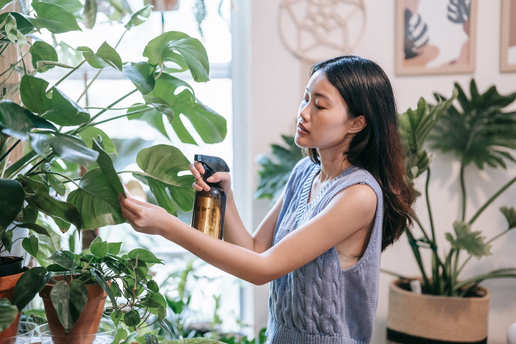 Spray Bottle for Gardening