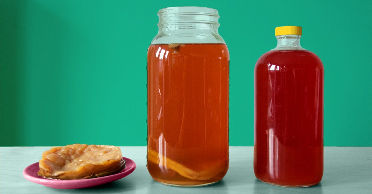 Kombucha Bottles Bulk